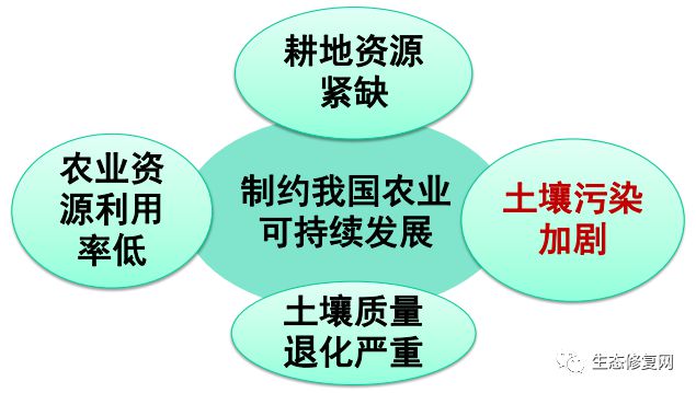 污染土壤修復(fù)治理對策與思考——以實踐服務(wù)推動生態(tài)安全